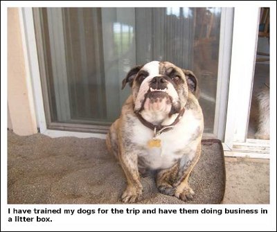 I have trained my dogs for the trip and have them doing business in a litter box.