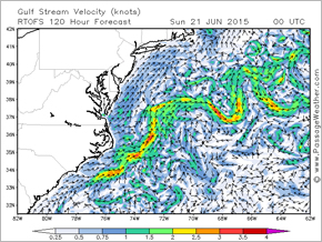 Gulf Stream Velocity - Knots