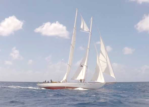 A beautiful competitor, “Atrevida” a 104foot Nathaniel Herreshoff design, the Heineken attracts all types of yachts.