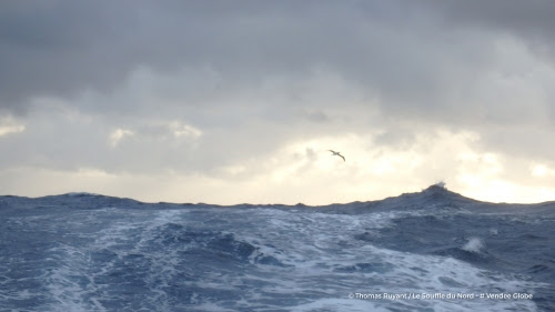 Onboard image bank while training for the Vendee globe of IMOCA Maitre COQ, skipper Jeremie Beyou (FRA), off Belle-lle, on september 23rd, 2016 - photo Eloi Stichelbaut / Maitre Coq / Vendee Globe