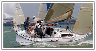 Whiskers Leads By A Whisker