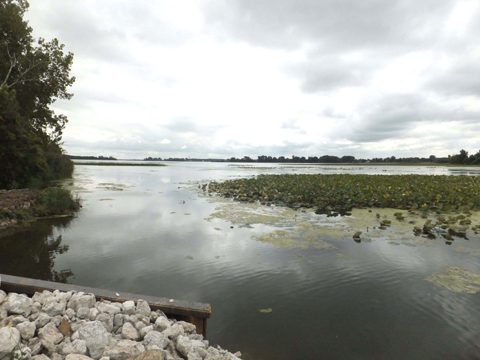 Erie Marsh has been cut off from Lake Erie since the 1940s. The Nature Conservancy is changing that. (Photo: The Nature Conservancy)