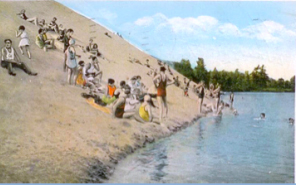 The west coast of Goshorn Lake has been moving over the years as a result of the shifting dunes. Image: Kit Laner