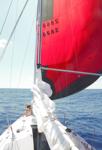 Ocean Research Project