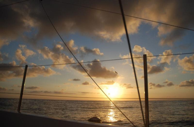 Ocean Research Project