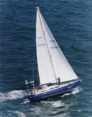 Sceptre 43 - Dragonsbane