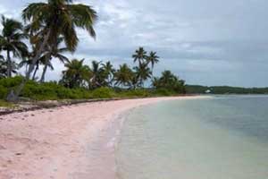 Bahamas Beach