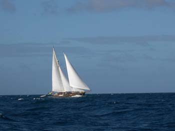schooner1252