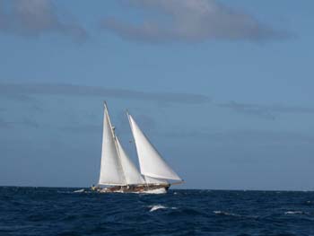 schooner21253