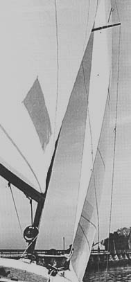 dell1.JPG (13939 bytes)