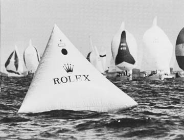 dellr18.JPG (20902 bytes)