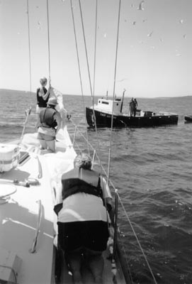 kids4.jpg (20708 bytes)