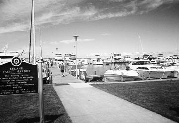 leland.JPG (21029 bytes)