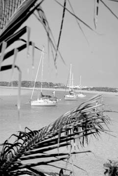 mama2.jpg (20430 bytes)