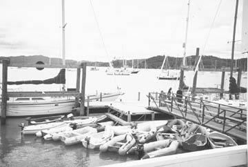 marina.JPG (21421 bytes)