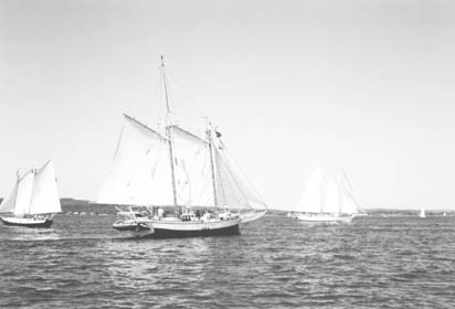 tallship.JPG (15364 bytes)