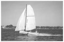 thom1.jpg (7069 bytes)