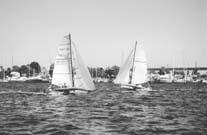 thom3.jpg (8407 bytes)