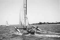 thom4.jpg (8226 bytes)