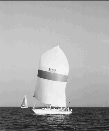 trans1.GIF (28554 bytes)