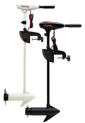 Flower Saltwater (left) and standard types